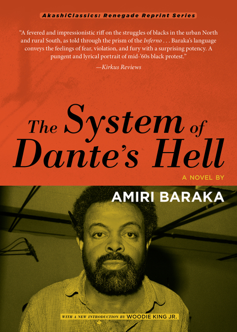 Cover image for book The System of Dante's Hell