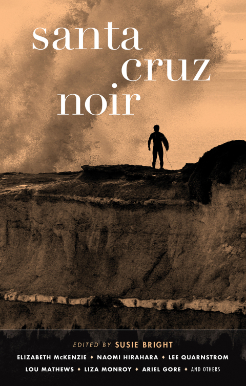 Cover image for book Santa Cruz Noir