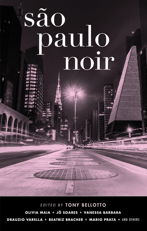 Cover image for book São Paulo Noir