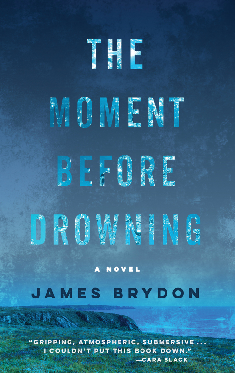 Cover image for book The Moment Before Drowning