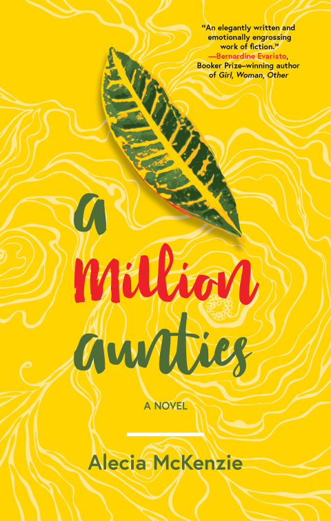 Cover image for book A Million Aunties