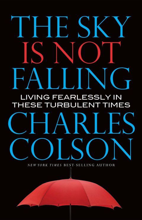 Cover image for book The Sky Is Not Falling