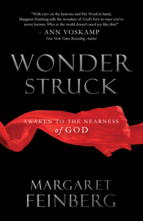 Cover image for book Wonderstruck