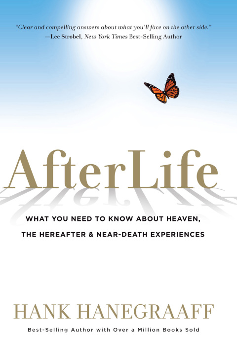 Cover image for book Afterlife