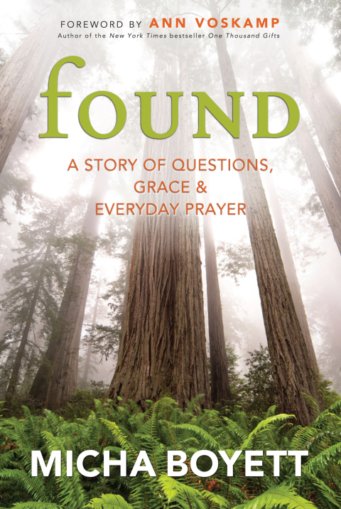 Cover image for book Found