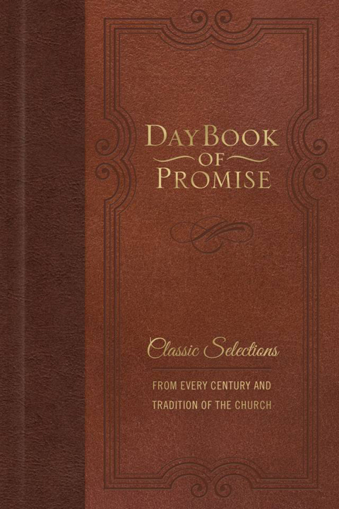 Cover image for book Daybook of Promise