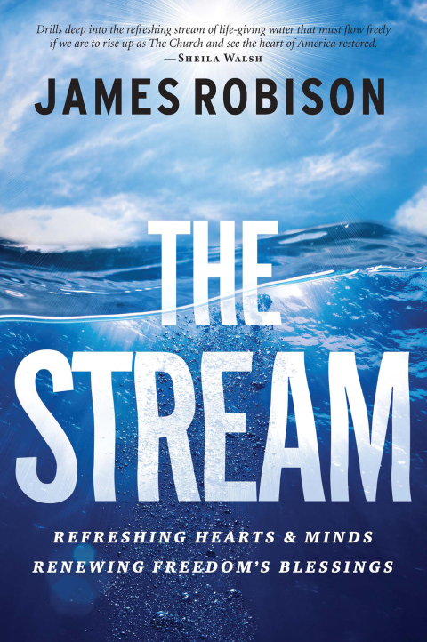 Cover image for book The Stream