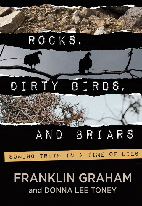 Cover image for book Rocks, Dirty Birds, and Briars