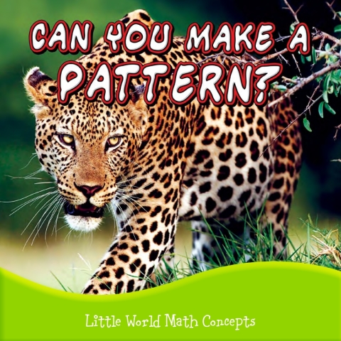 Cover image for book Can You Make A Pattern?