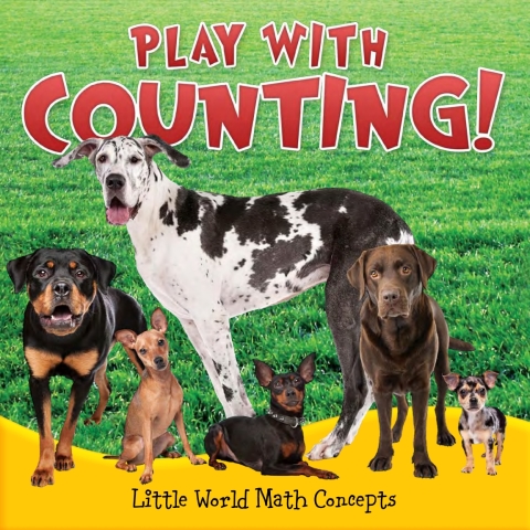 Cover image for book Play With Counting!