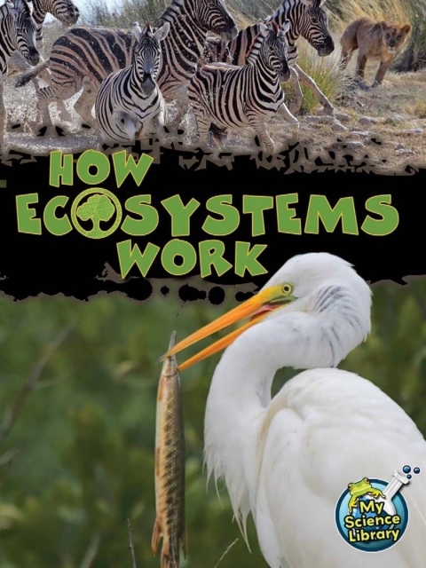 Cover image for book How Ecosystems Work