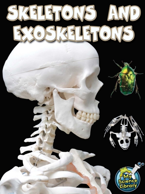 Cover image for book Skeletons and Exoskeletons