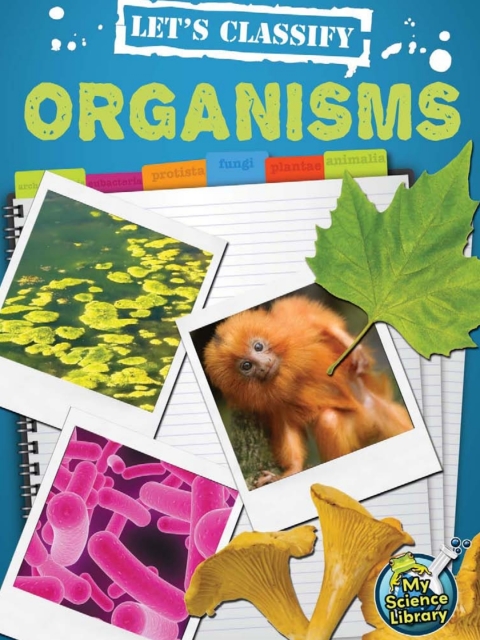Cover image for book Let's Classify Organisms