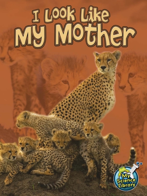 Cover image for book I Look Like My Mother
