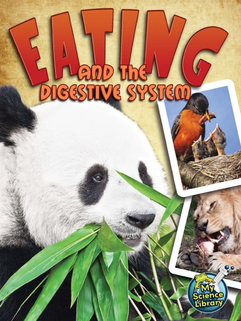 Cover image for book Eating and The Digestive System