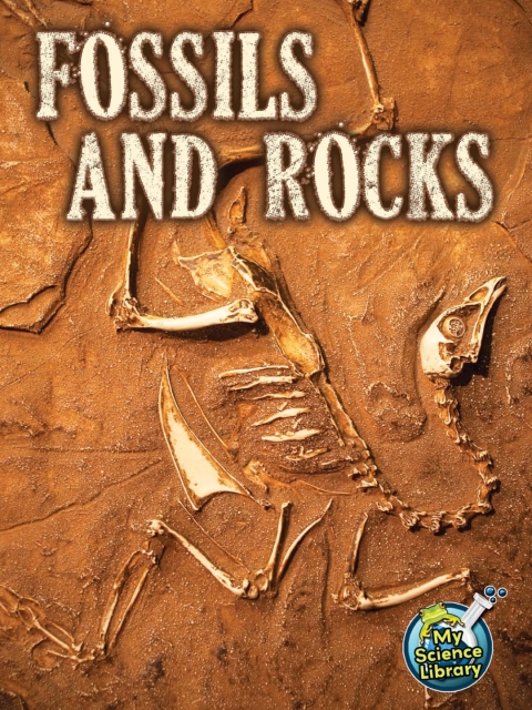 Cover image for book Fossils and Rocks
