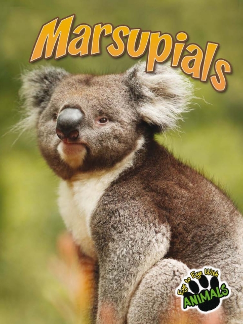 Cover image for book Marsupials