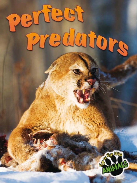 Cover image for book Perfect Predators