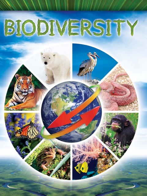 Cover image for book Biodiversity