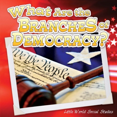 Cover image for book What Are The Branches of Democracy?
