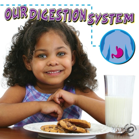 Cover image for book Our Digestion System