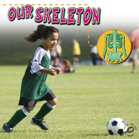 Cover image for book Our Skeleton