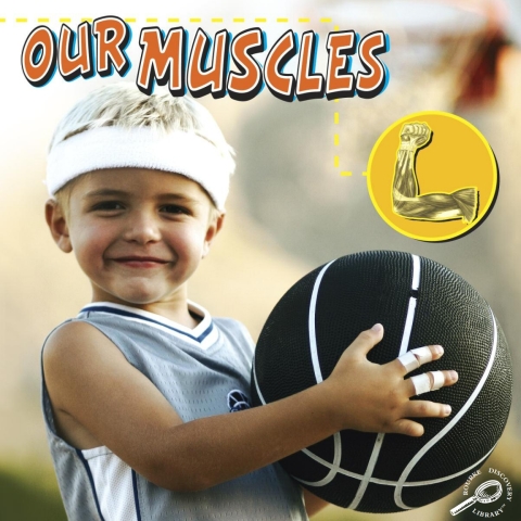 Cover image for book Our Muscles