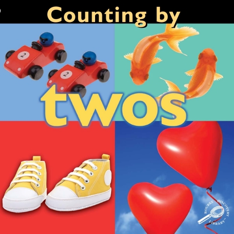 Cover image for book Counting By Twos