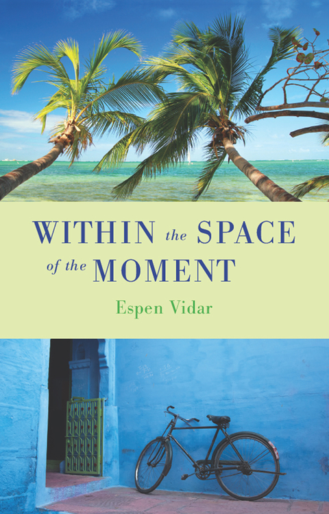 Cover image for book Within the Space of the Moment