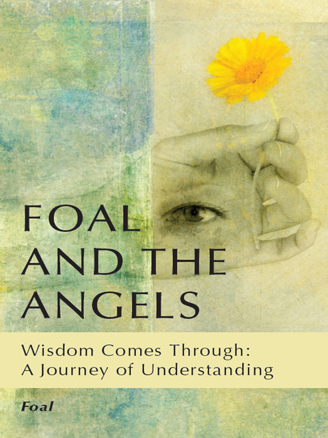 Cover image for book Foal and the Angels
