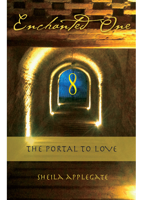 Cover image for book Enchanted One