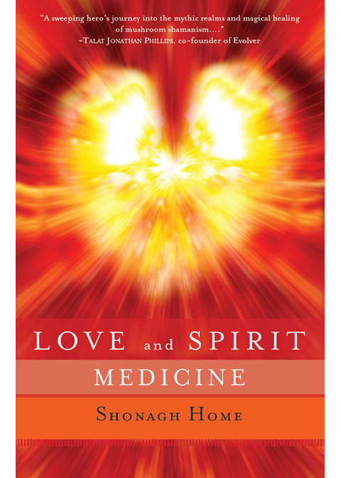Cover image for book Love and Spirit Medicine