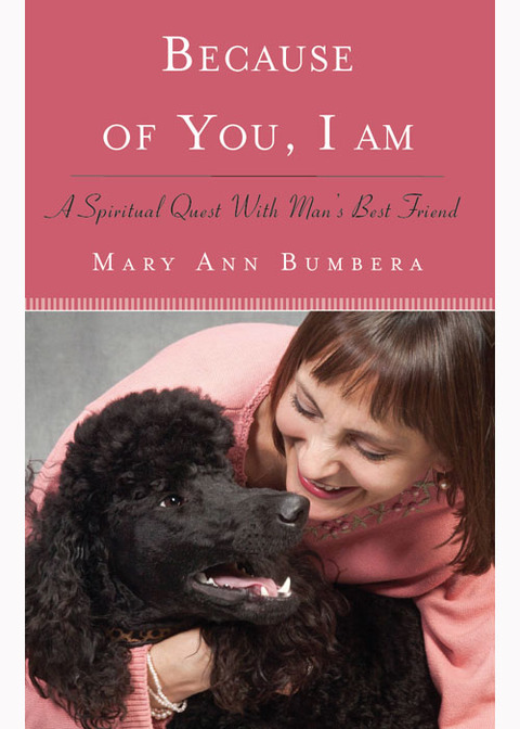 Cover image for book Because of You, I Am