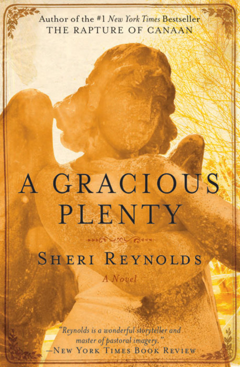 Cover image for book A Gracious Plenty