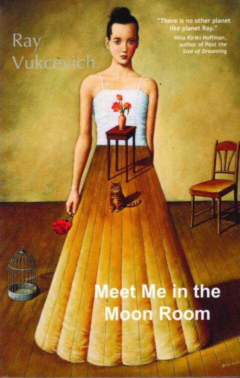 Cover image for book Meet Me in the Moon Room