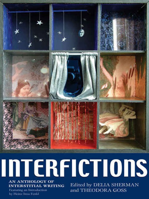 Interfictions 