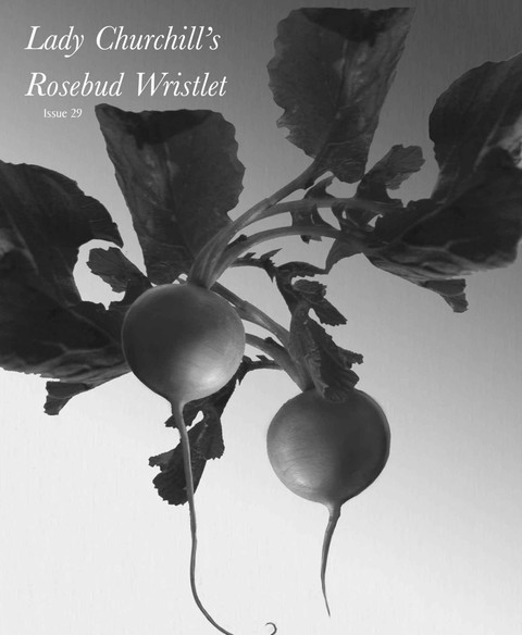 Cover image for book Lady Churchill's Rosebud Wristlet No. 29