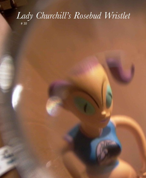 Cover image for book Lady Churchill's Rosebud Wristlet No. 30