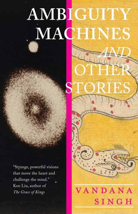 Cover image for book Ambiguity Machines