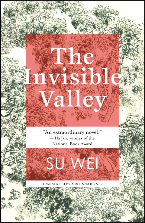 Cover image for book The Invisible Valley