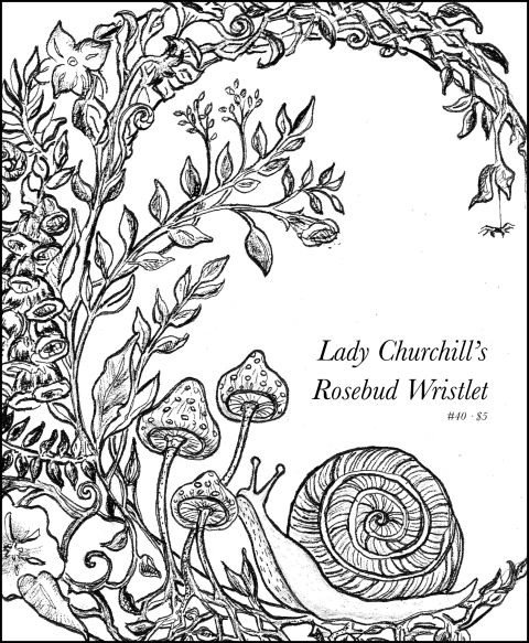 Cover image for book Lady Churchill’s Rosebud Wristlet No. 40