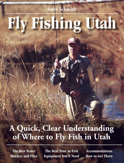 Cover image for book Fly Fishing Utah