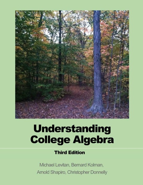 Cover image for book Understanding College Algebra