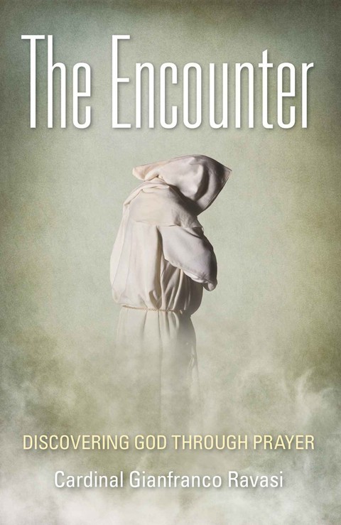 Cover image for book The Encounter