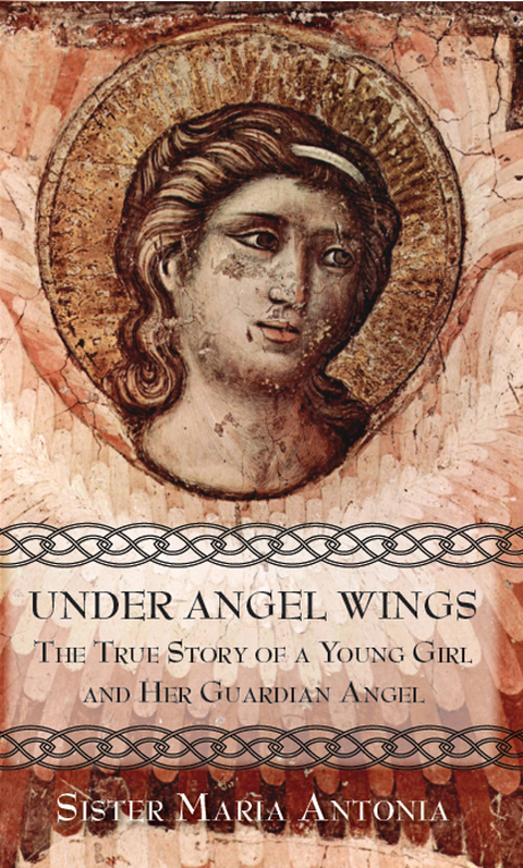Cover image for book Under Angel Wings