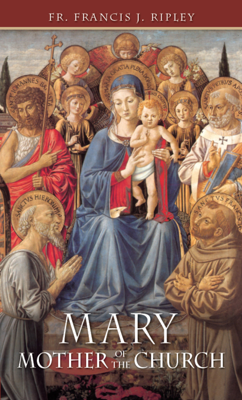 Cover image for book Mary