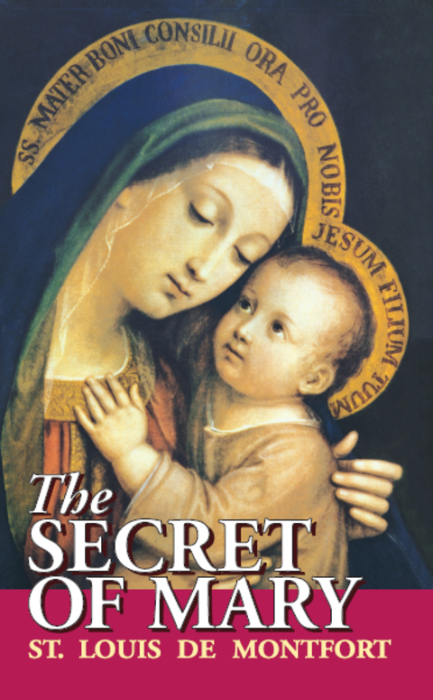 Cover image for book The Secret of Mary