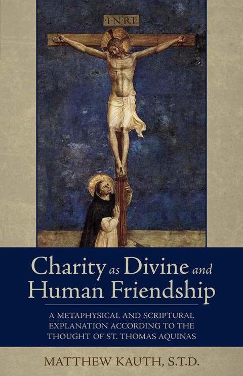 Cover image for book Charity as Divine and Human Friendship