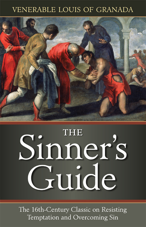 Cover image for book The Sinner’s Guide