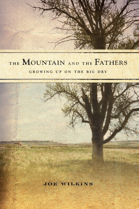 Cover image for book The Mountain and the Fathers